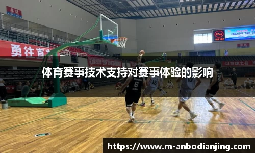体育赛事技术支持对赛事体验的影响